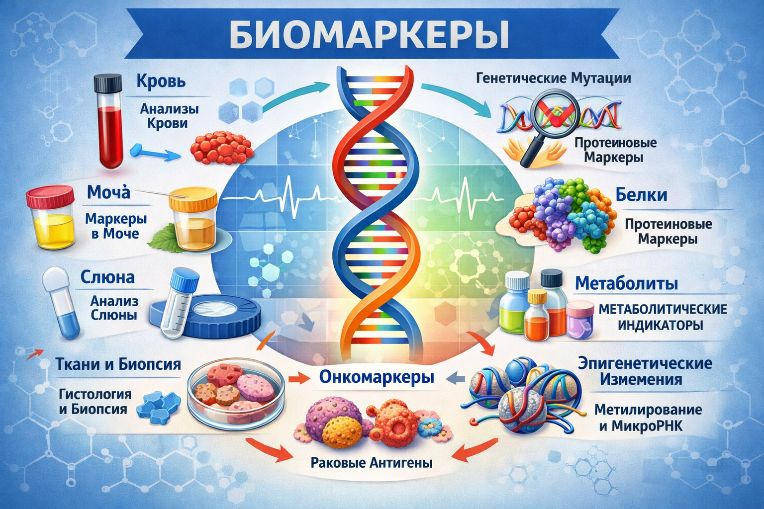 Биомаркеры: Скрытый код организма и фундамент точной медицины